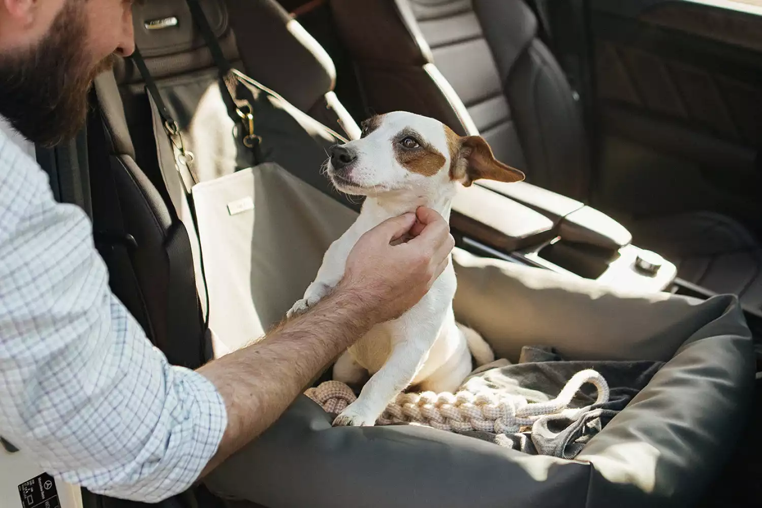 Staffordshire Bull Terriers Dog Car Seat for Dodge Grand Caravan